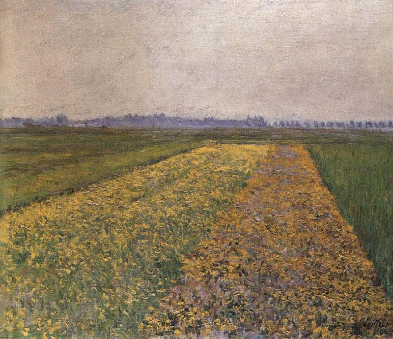 Gustave Caillebotte Yellow field